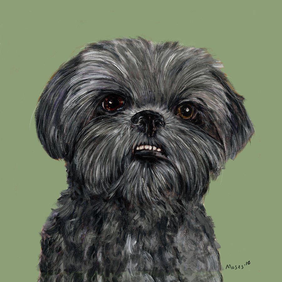 Charcoal Shih Tzu  Painting by Dale Moses