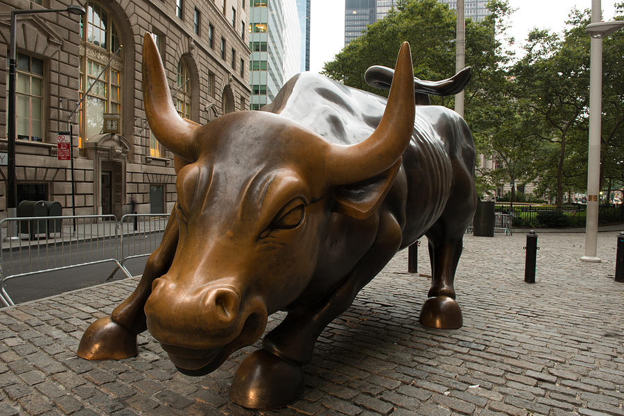 Charging Bull 2 Photograph by Susan Heller - Fine Art America