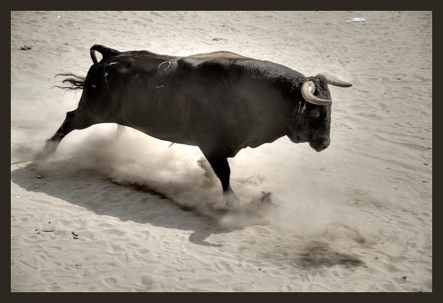 Charging Bull Photograph by Abuela Pinocho