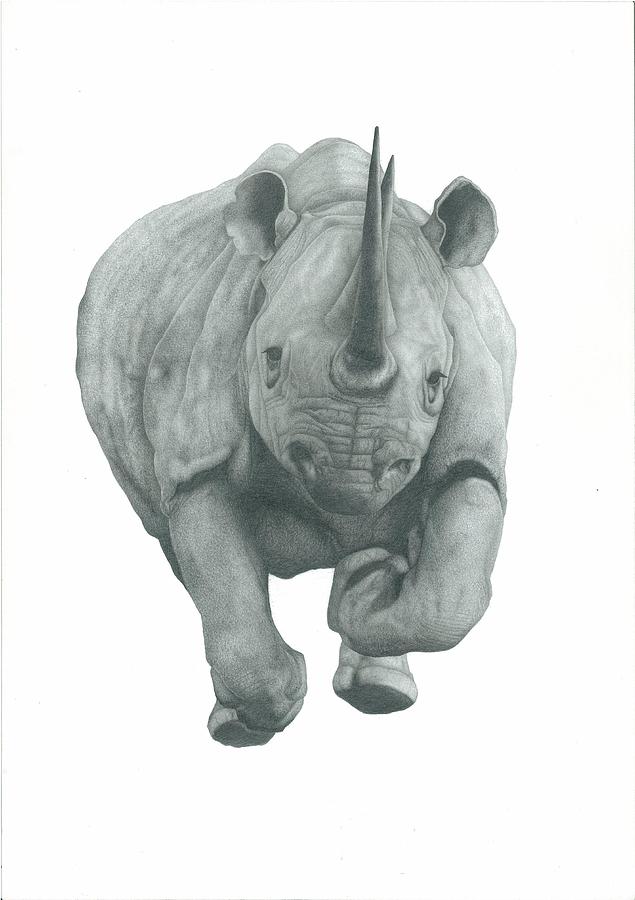 charging rhino sketch