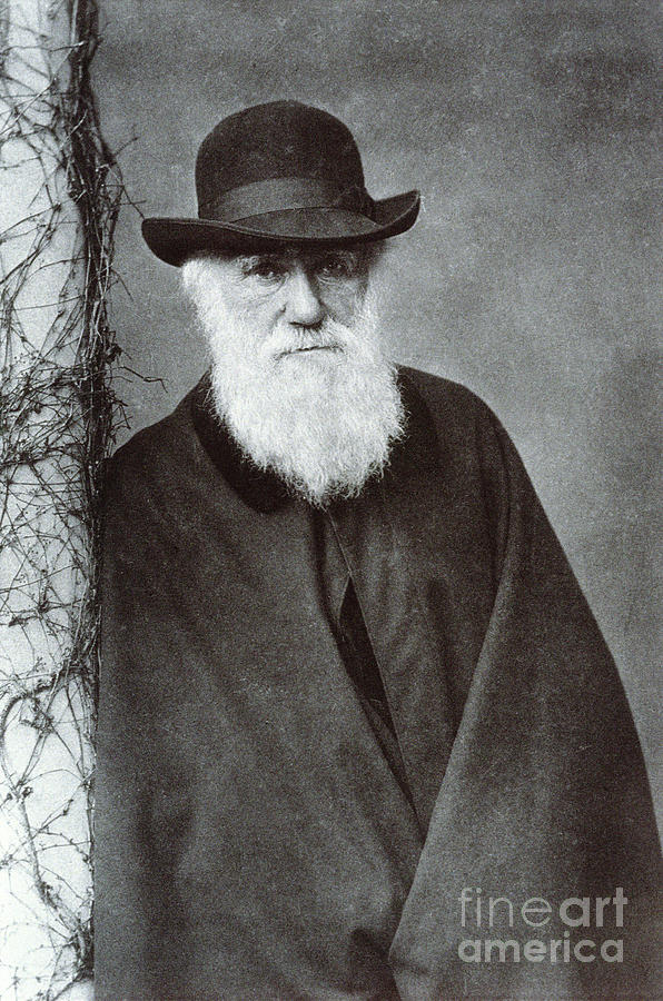 Charles Darwin Photograph by Biophoto Associates