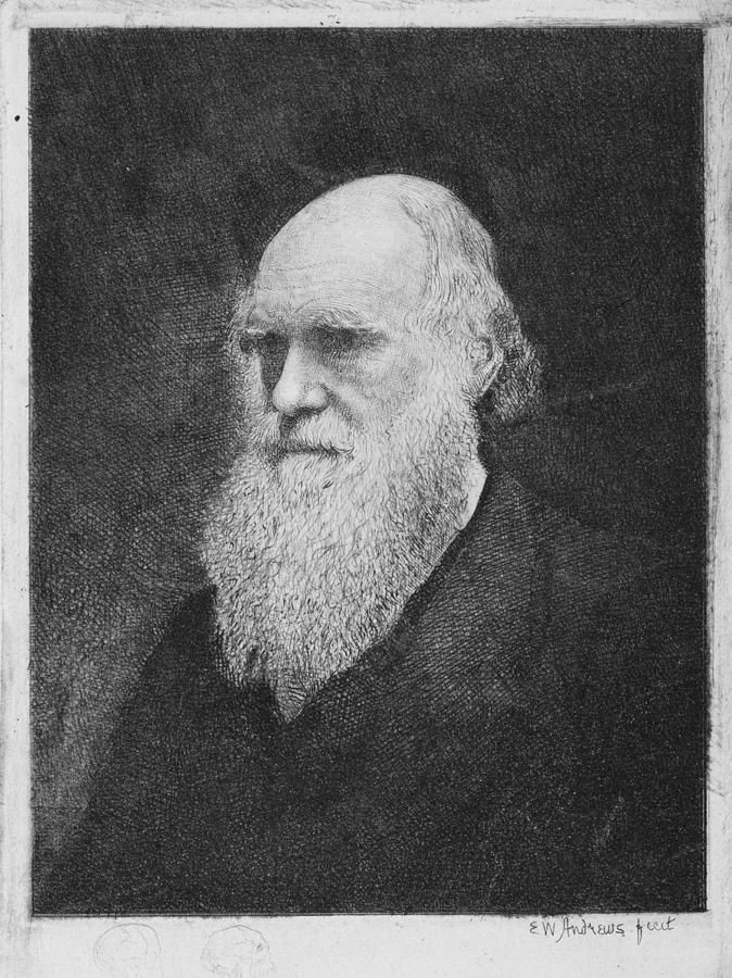 Charles Darwin, British naturalist Photograph by Science Photo Library ...