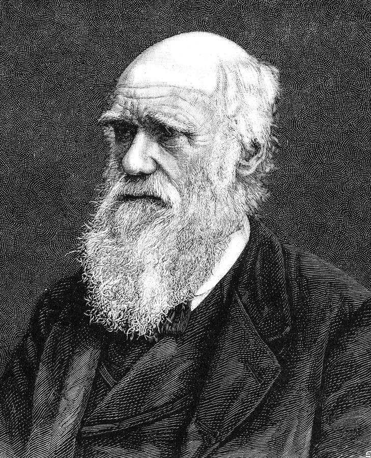 1885 Photograph - Charles Darwin by Collection Abecasis 1885 Photograph - Charles Darwin by Collection Abecasis