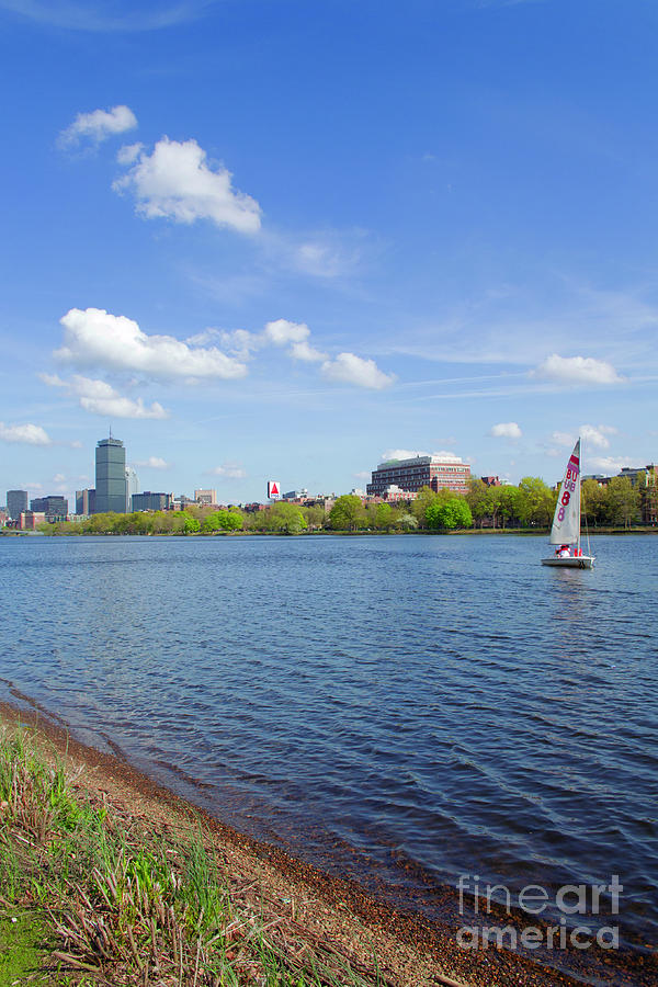 Boat Photograph - Charles River and Boston Skyline by Danielle Lebenson