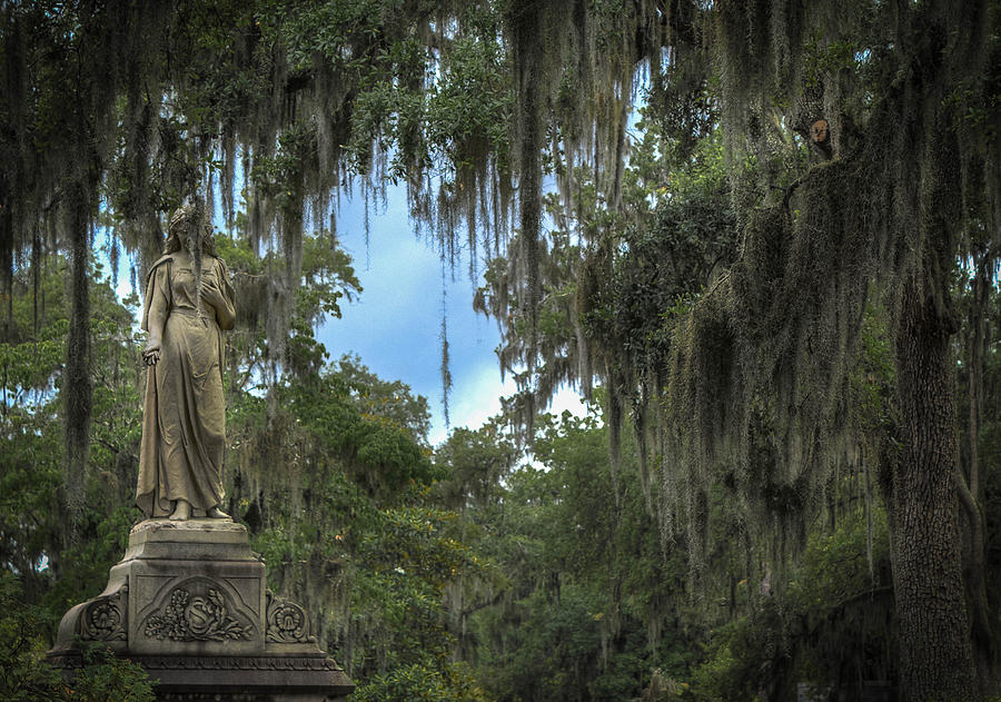 Charles Seiler's Angel Photograph by Sean Camp | Fine Art America