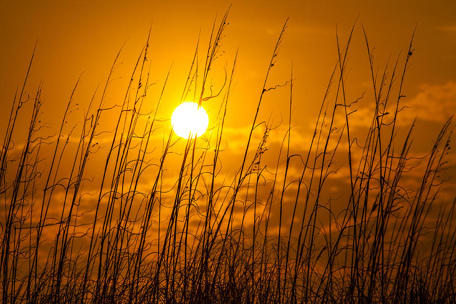 Charleston Beach Sunrise Photograph by Chris Austin