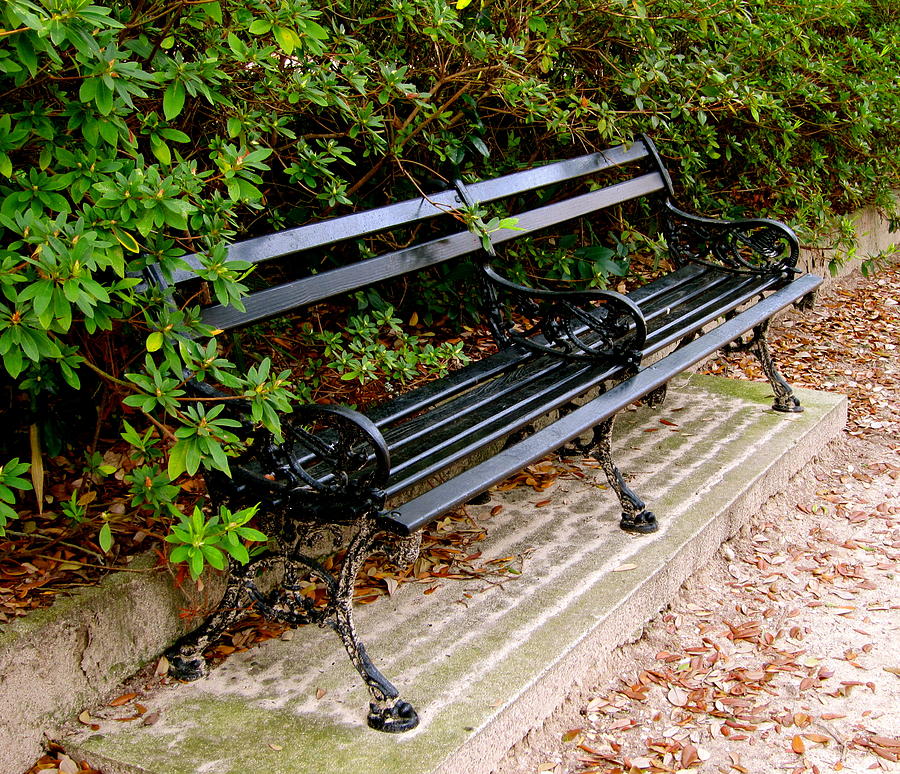 Charleston bench Photograph by Alan Metzger
