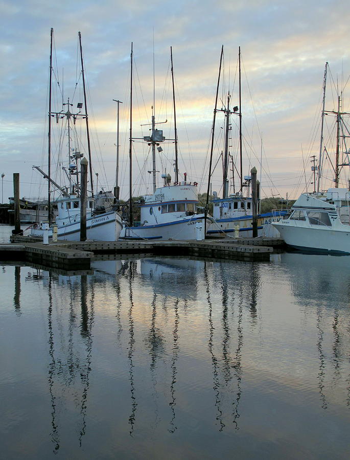 Charleston Boats Photograph by Suzy Piatt