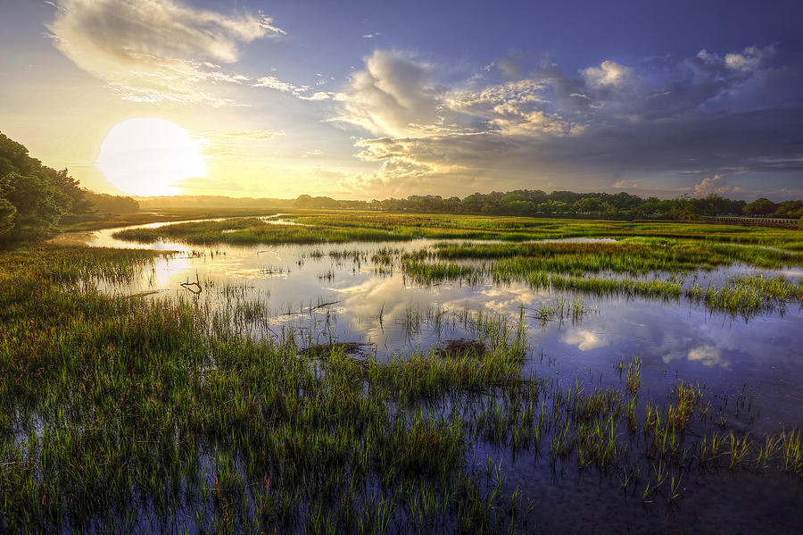 Charleston - Coastal Marsh Photograph by Douglas Berry