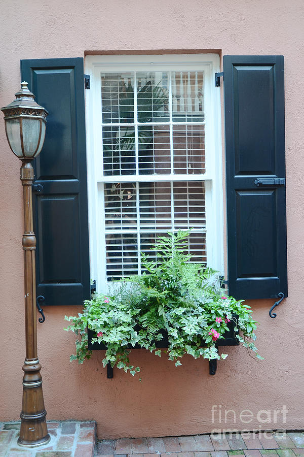 Charleston French Quarter Window Box and Street Lamp - Romantic Charleston Window Flower Boxes Photograph by Kathy Fornal