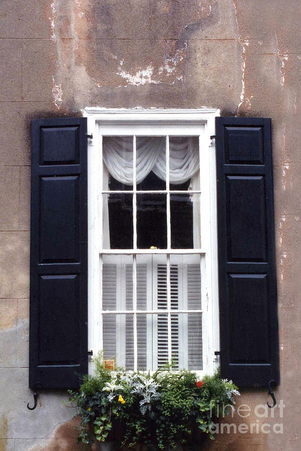 Charleston French Quarter Window Flower Box - Charleston Architecture Black And White Window Box Photograph by Kathy Fornal