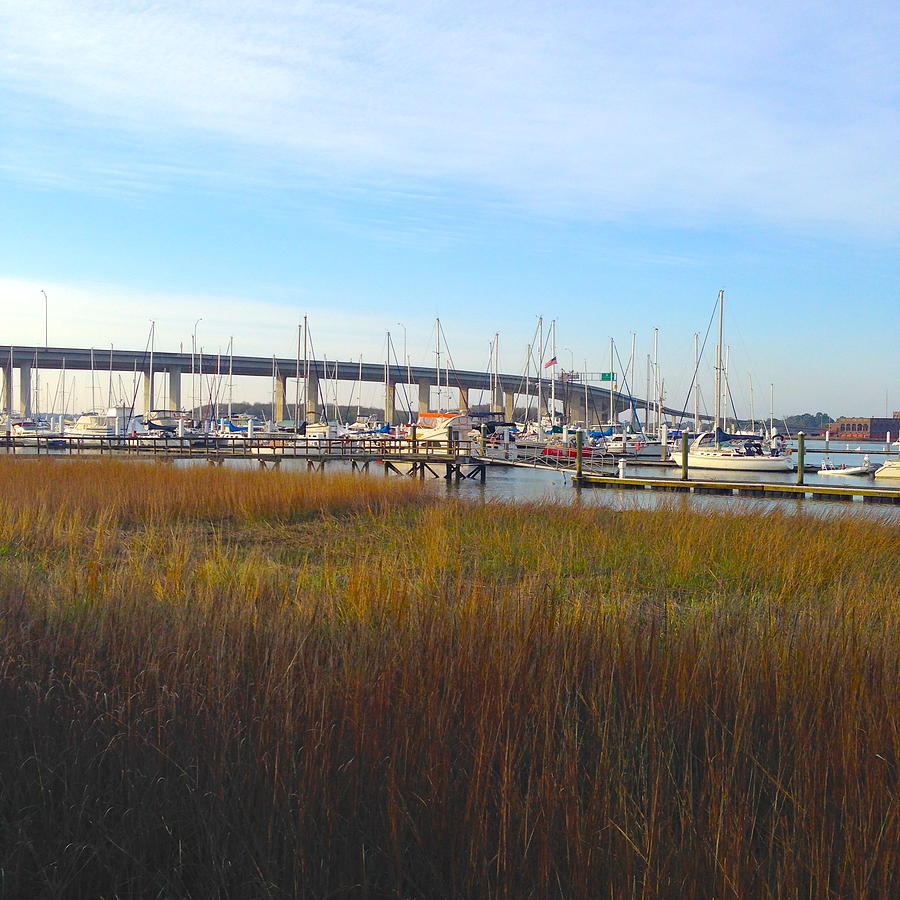 Charleston Harbor and Marsh Photograph by M West