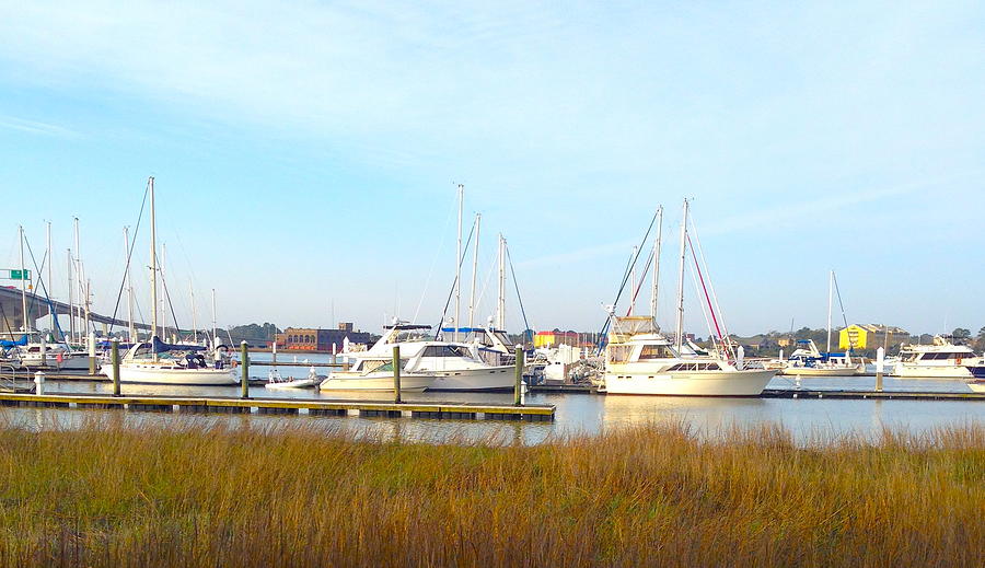 Charleston Harbor Boats Photograph by M West