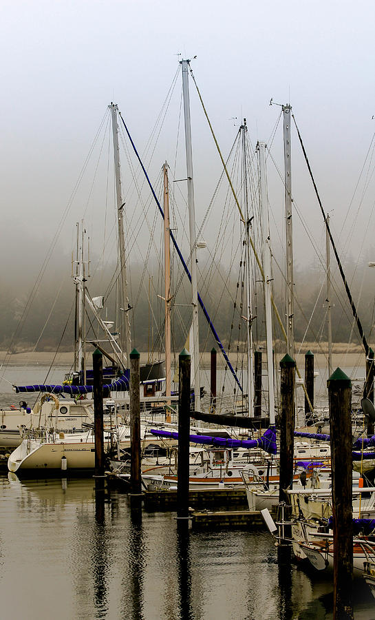 Charleston Harbor Masts Photograph by KATIE Vigil