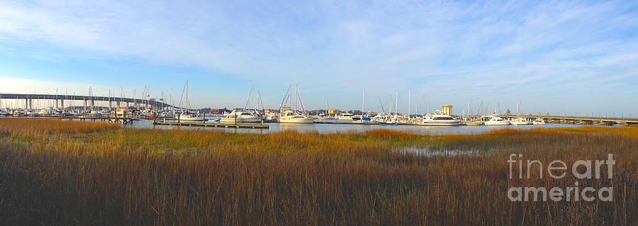 Charleston Harbor Panorama Photograph by M West