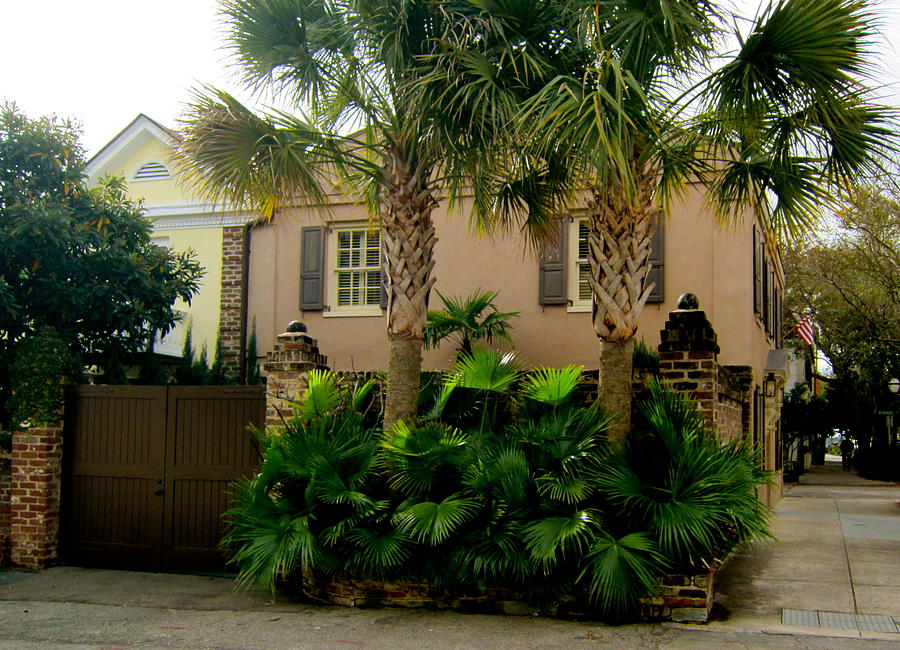 Charleston home Photograph by Alan Metzger