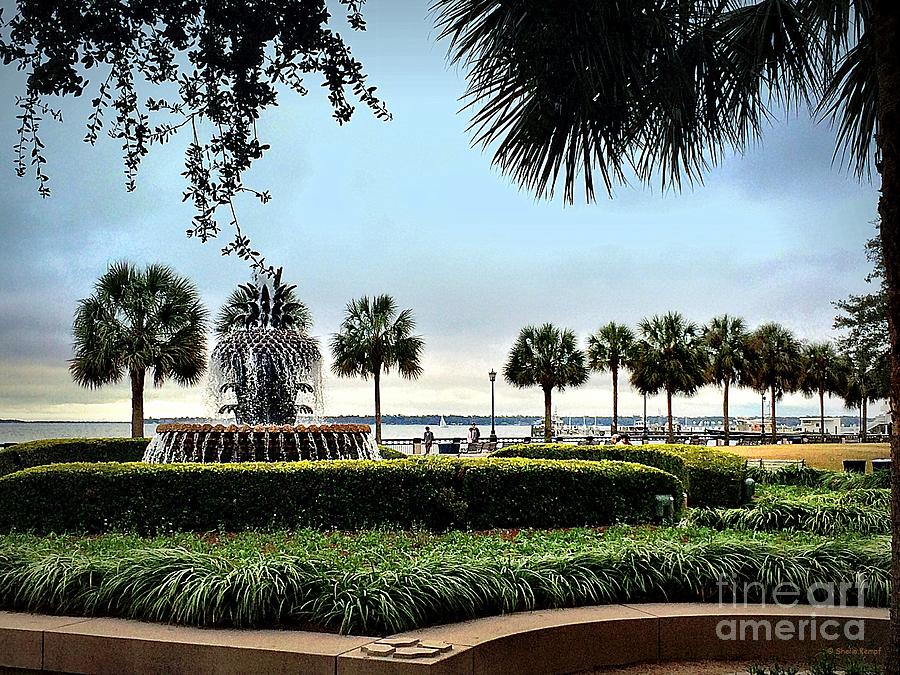 Charleston Pineapple Fountain Photograph by Shelia Kempf