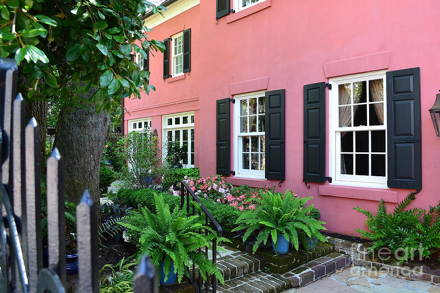 Charleston Pink House Photograph by Amy Lucid