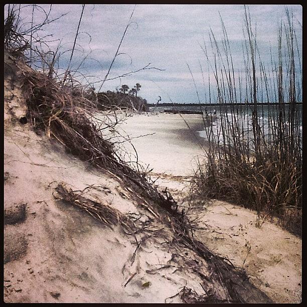 Charleston, Sc - Oceanside - Folly Beach Photograph by Trey Kendrick