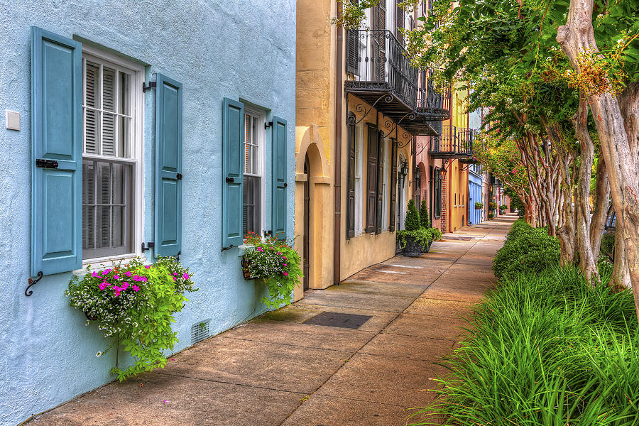 Flower Photograph - Rainbow Row - Charleston SC by Douglas Berry