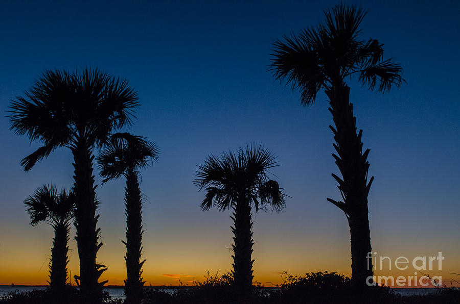 Charleston Silhouette Photograph by Dale Powell - Fine Art America