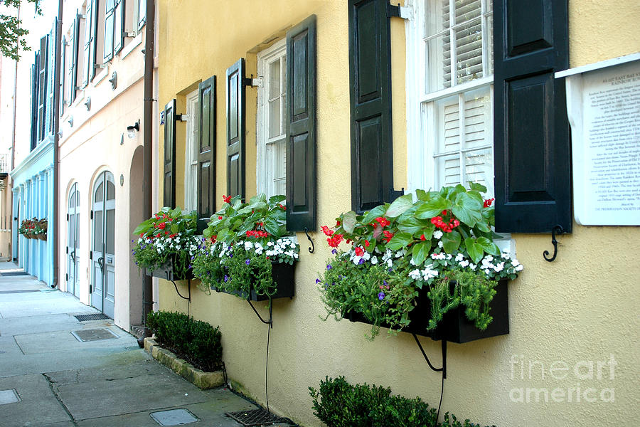 Charleston South Carolina - Rainbow Row Yellow Black Shutters Flower Window Boxes - French Quarter  Photograph by Kathy Fornal