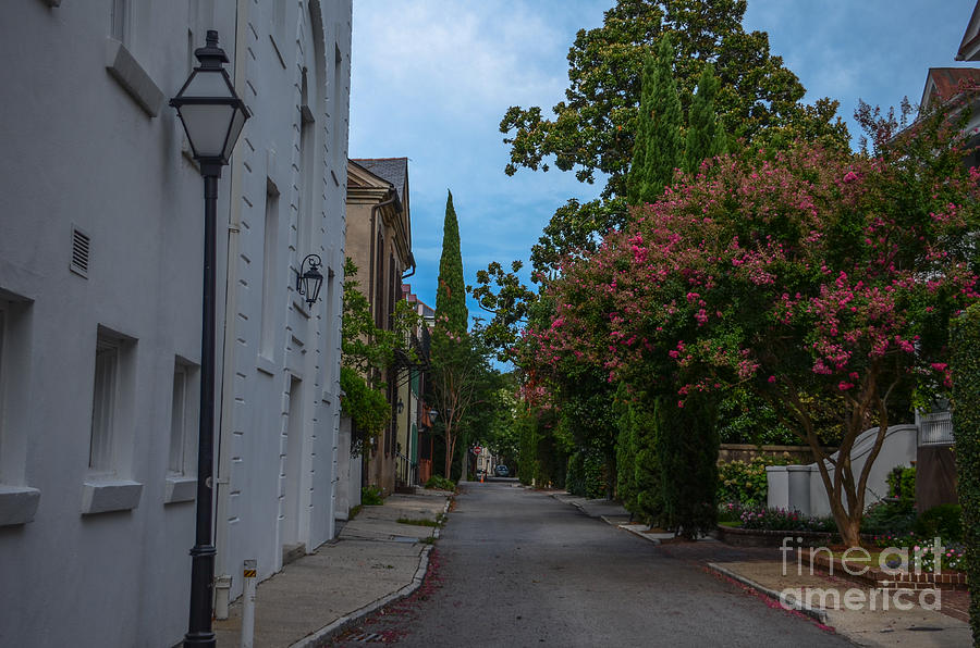 Charleston Street Photograph