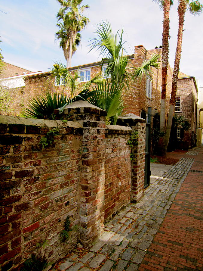 Charleston wall Photograph by Alan Metzger | Fine Art America