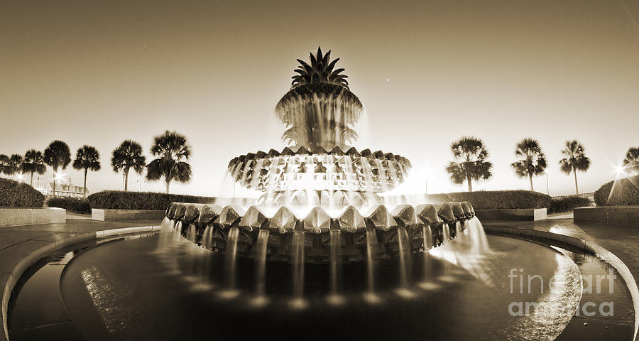 Black And White Photograph - Charleston waterfront park Pineapple Fountain by Dustin K Ryan