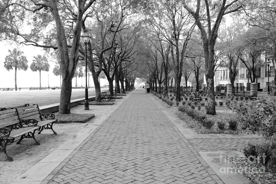 Charleston Photograph - Charleston Waterfront Park Walkway - Black and White by Carol Groenen