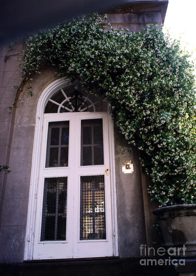 Charleston French Quarter White Door With Green Ivy Arch Photograph by Kathy Fornal