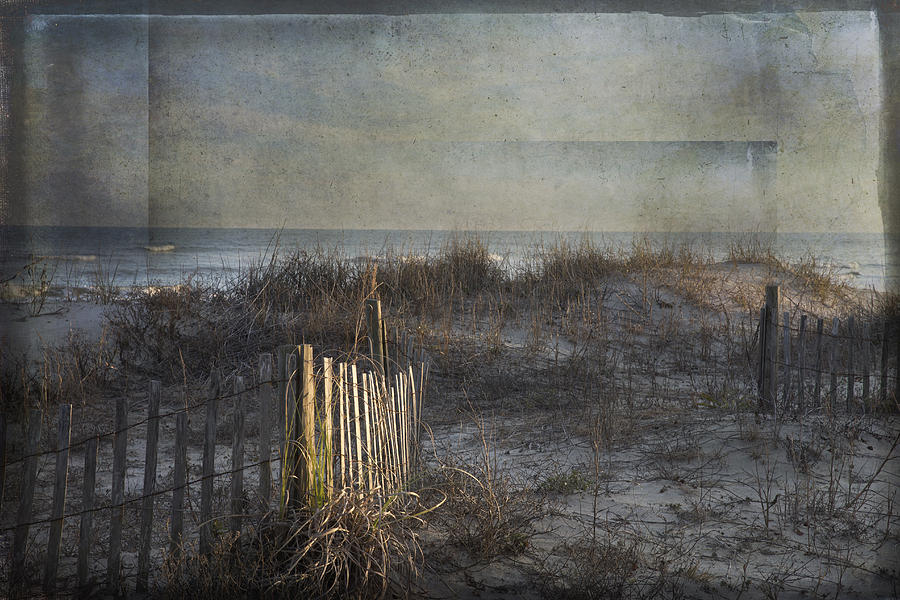 Nature Photograph - Charleston Wild Dunes Beach by Evie Carrier