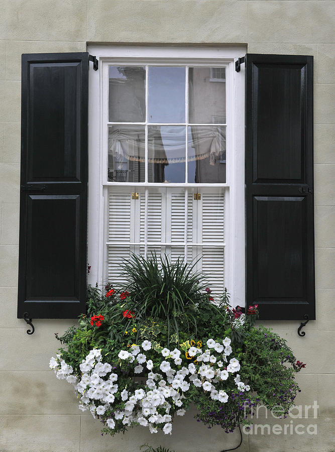Charleston Sc Window Box Photograph