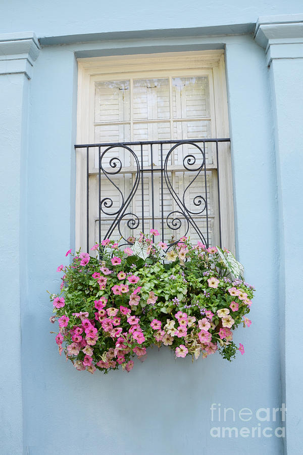Charleston Window Box Flower Photography - Charleston Rainbow Row Blue Aqua Dreamy Flower Window Box Photograph by Kathy Fornal