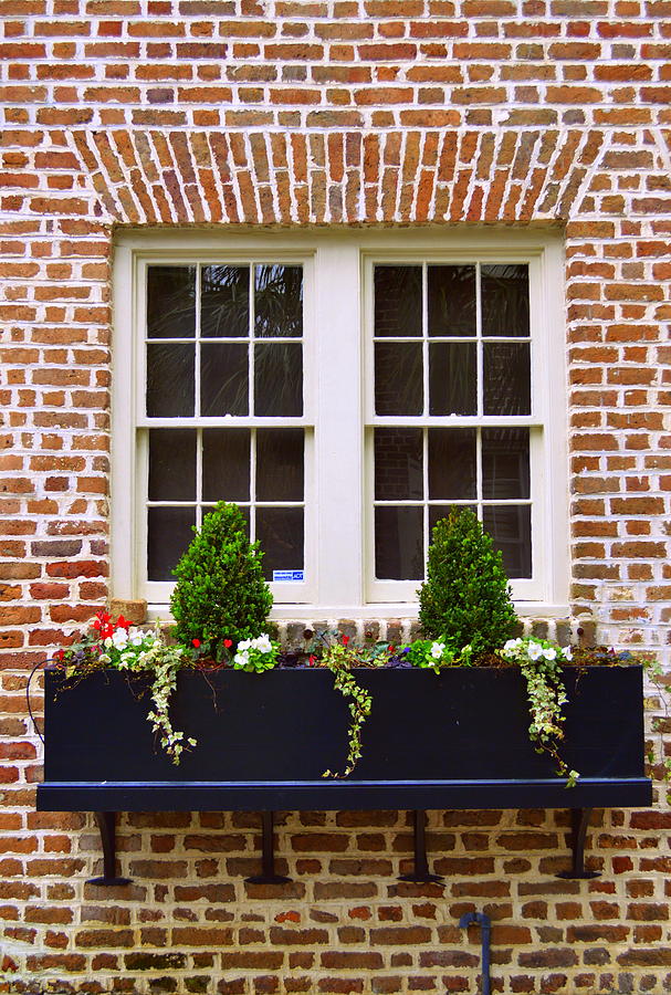 Charleston window box Photograph by Linda Covino - Pixels