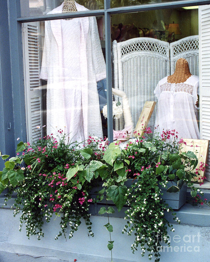 Charleston Window Boxes Photograph - Charleston Window Boxes - Charleston Flowers Window Box and Lingerie Shop  by Kathy Fornal