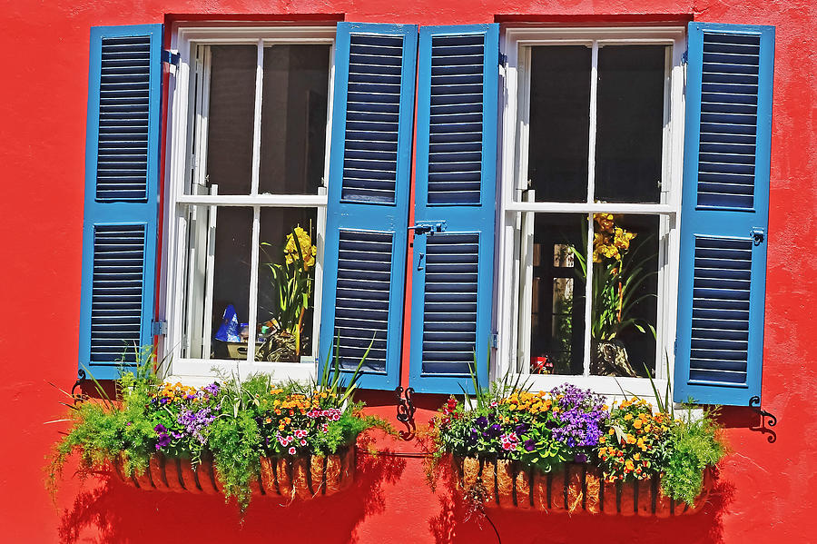 Charleston Windows Photograph by Elvis Vaughn