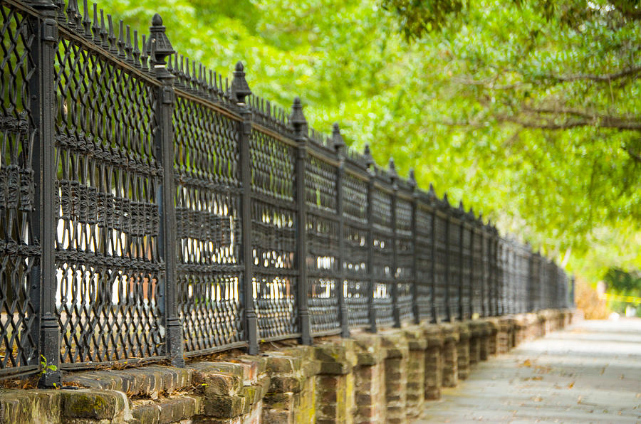 Charleston Wrought Iron Fence Photograph by Debbie Karnes