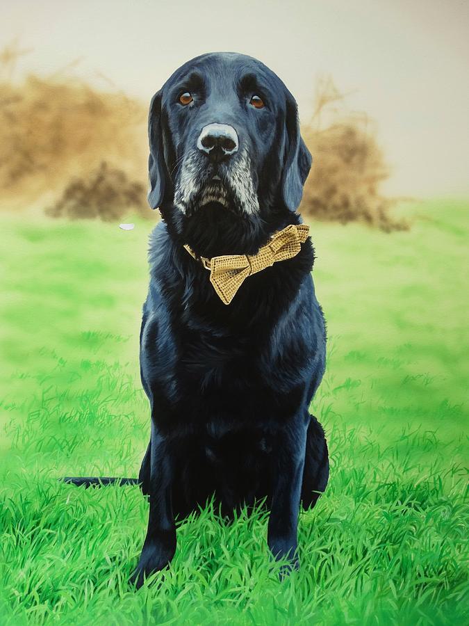 Dog Painting - Charlie by Julian Wheat