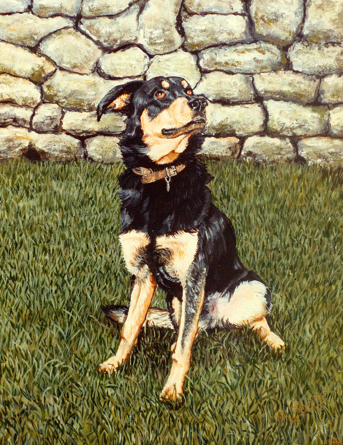 Dog Painting - Charlie by Mackenzie Moulton