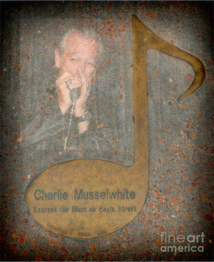 Charlie Musselwhite Note Photograph by Donna Greene