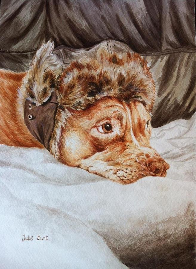 Pitbull Painting - Charlie the Cheeky Chappy by Pet Portraits by Julie Bunt