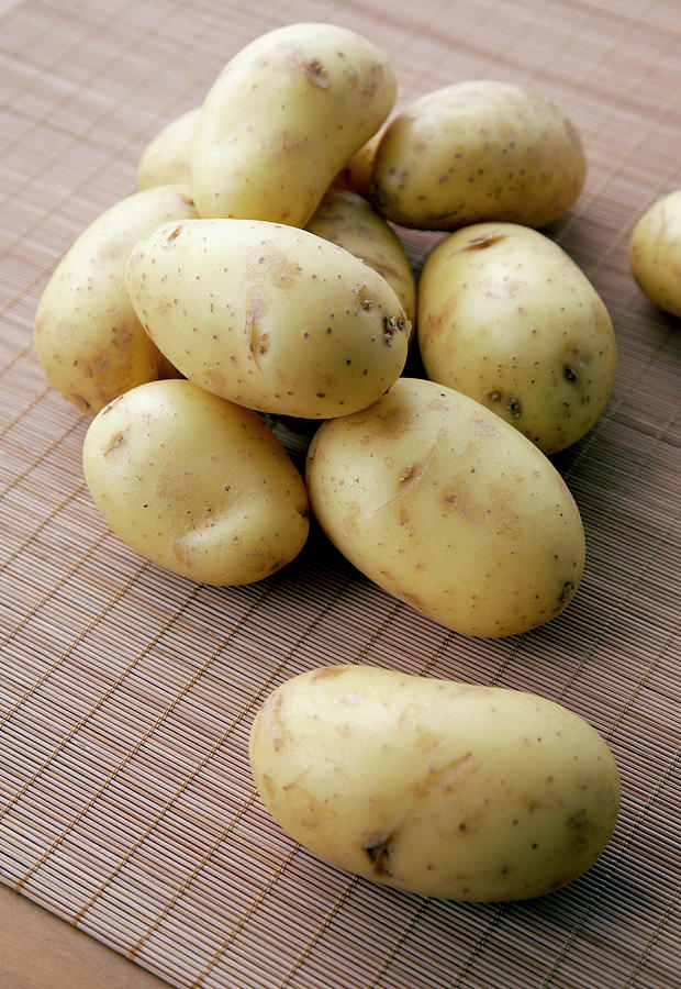 Charlotte Potatoes Photograph by Science Photo Library