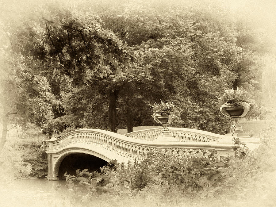 Charm of Bow Bridge Photograph by Jessica Jenney