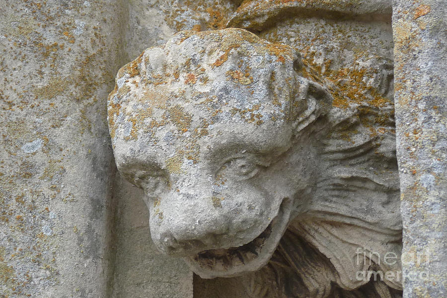 Chartres Cathedral Carved Head Photograph by Deborah Smolinske