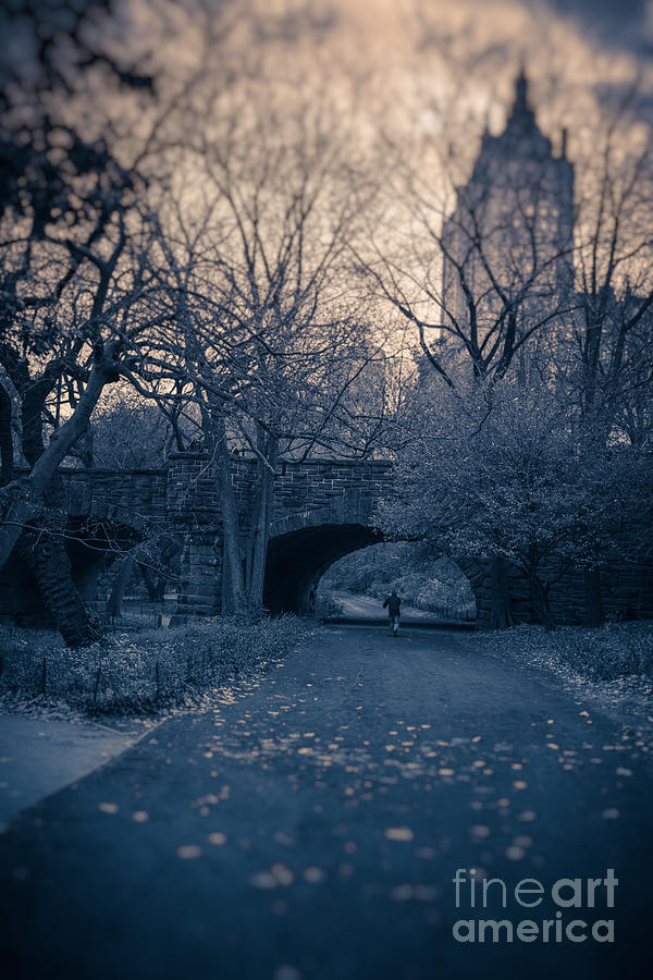 Central Park Photograph - Chased Through Central Park by Edward Fielding