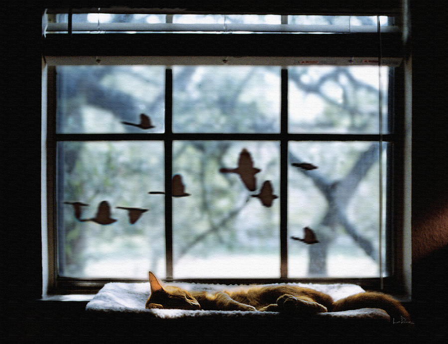 Birds Photograph - Chasing a Dream by Doug LaRue Birds Photograph - Chasing a Dream by Doug LaRue