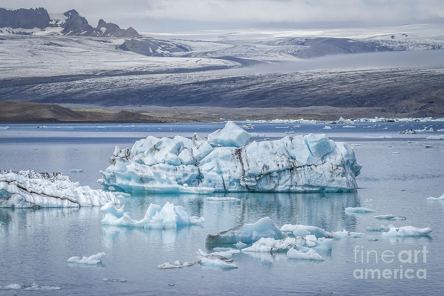 Nature Photograph - Chasing Ice by Evelina Kremsdorf