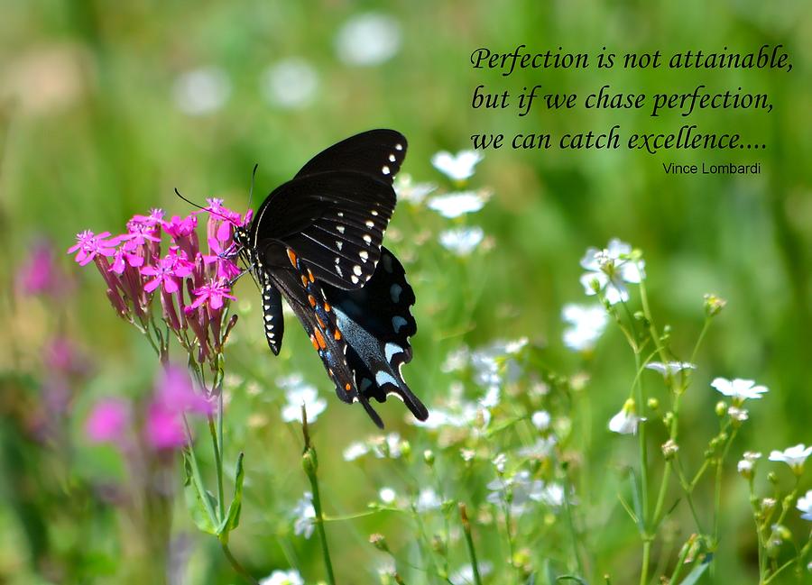 Chasing Perfection Photograph by Deena Stoddard