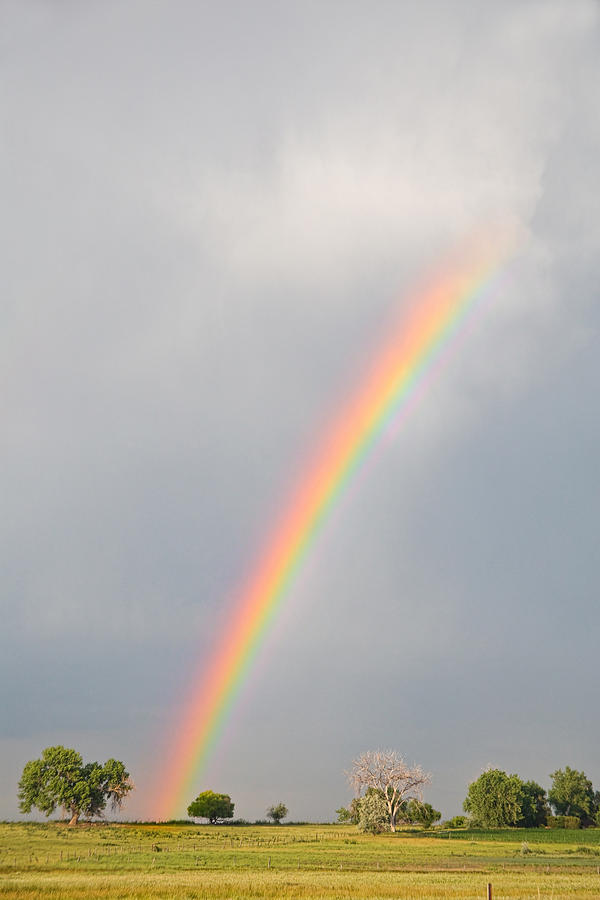 Chasing Rainbows Photograph by James BO Insogna
